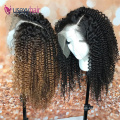 Best selling 13x4 13x6 hd lace wig raw burmese kinky curly wig glueless HD lace frontal wig human hair for black women